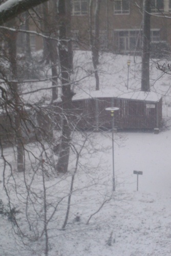 Media_httpimgmobypict_alohb