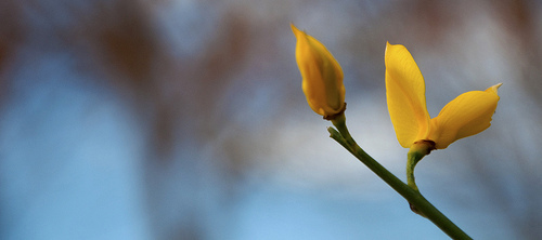 Media_httpwwwlifehack_jbeiw