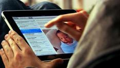 Media_httpwwwdutchcow_dlrbz