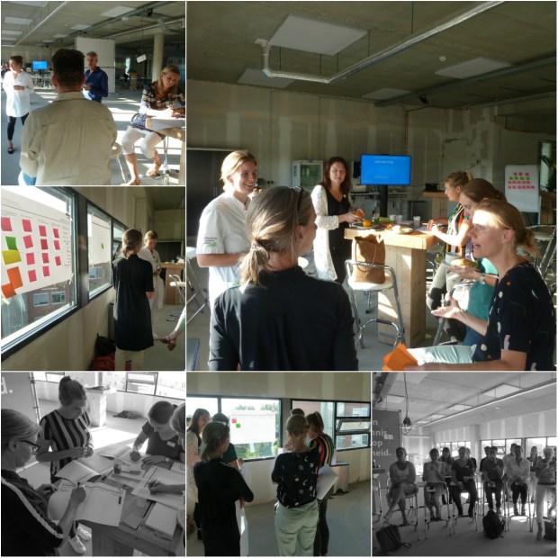 collage_ZGV SDT workshop